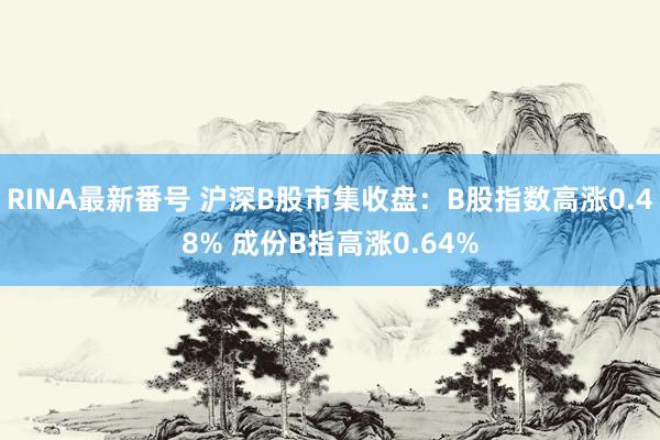 RINA最新番号 沪深B股市集收盘：B股指数高涨0.48% 成份B指高涨0.64%