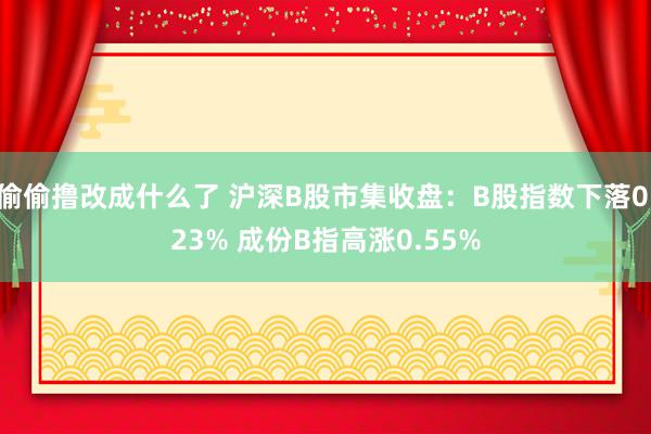 偷偷撸改成什么了 沪深B股市集收盘：B股指数下落0.23% 成份B指高涨0.55%